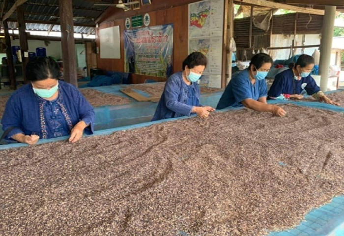 ข้าวเกษตรอินทรีย์ ข้าวเกษตรอินทรีย์