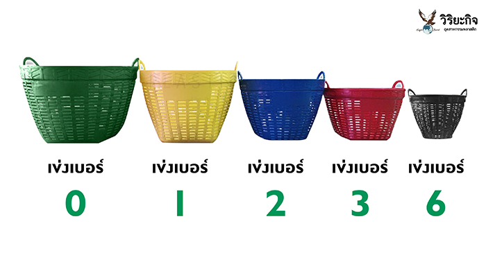 เข่งพลาสติก เข่งพลาสติก