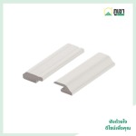 Thai Plast Wood Co Ltd