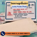 Surimi (เนื้อปลาบด) - โรงงานลูกชิ้นปลา - ลักกี้ฟู้ดส์ (ไทย)