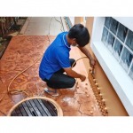 อัดน้ำยาปลวก - บริษัทกำจัดปลวก กรุงเทพ - ฮั้นส์ กำจัดปลวก