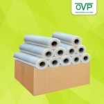 O V P Enterprise LP.