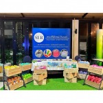 Sandal manufacturer Thailand - โรงงานผลิตรองเท้าแตะ รองเท้าฟองน้ำ