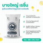 Bangyai Resin (2006) Co., Ltd.