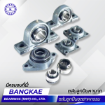Ball bearing supplier, including rare ball bearings, in Nakhon Pathom.