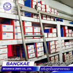 Ball bearing supplier, including rare ball bearings, in Nakhon Pathom.