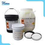 Motion Group Co., Ltd.