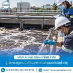Aglow (Thailand) Co., Ltd.