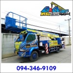 Tree bracing service - A & A Crane
