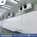 บริษัทสร้างห้องเย็น - ให้เช่าและขายตู้คอนเทนเนอร์ห้องเย็น นนทบุรี 