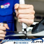 Alpha Sale Co Ltd