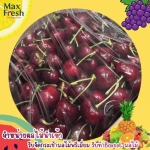 ผลไม้เกรดพรีเมียมนำเข้า - รับจัดกระเช้าผลไม้พรีเมี่ยมขายส่งผลไม้นำเข้า ผลไม้นานาชาติ
