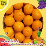 Apple - selling fruits, imported to the Thai market