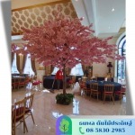 บริการเช่าต้นไม้ปลอม  - รับจัดสวนต้นไม้ปลอม - ธนพล ต้นไม้ประดิษฐ์