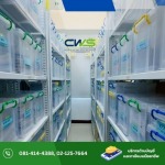 CWS Accounting Co., Ltd.