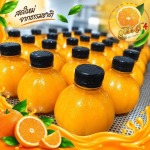 โรงงานน้ำส้มคั้นสด ปทุมธานี น้ำส้มคั้นวโรรส