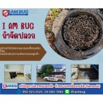 กำจัดปลวก เหยื่อกำจัดปลวก ปทุมธานี - ไอ แอม บัก