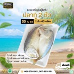 ปลาทูแม่กลองขายส่ง - ขายส่งปลาทูแม่กลอง - ดาปลาทูแม่กลอง