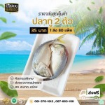ขายส่งปลาทูแม่กลอง - ดาปลาทูแม่กลอง