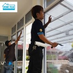 Accepting installation of house light filter film - Home Film