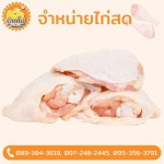 ขายส่งไก่  - บ้านไก่บึงคำพร้อย