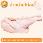 โรงงานเนื้อไก่ ราคาส่ง - ขายส่งไก่  - บ้านไก่บึงคำพร้อย