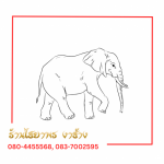 สร้อย แหวน ต่างหู งาช้างแท้ - ร้านไชยาพร รับซื้องาช้างทุกชนิด
