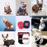ร้านขายเสื้อผ้าสัตว์เลี้ยง - รับฝาก ตัดขน สุนัข และแมว - Pet Relax