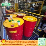 น้ำมันหล่อลื่น SHELL ราคาส่ง - ตัวแทนจำหน่ายน้ำมันหล่อลื่นอุตสาหกรรม SHELL - ที พี จี ลูบริแคนท์ส