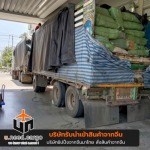Uneed Development Group Co., Ltd.