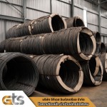 GTS INDUSTRIAL COMPANY LIMITED