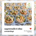เมนูอาหารเด็ก 6 เดือน - อาหารเด็ก Mom Mom Organic Baby Food
