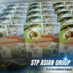 STP ASIAN GROUP COMPANY LIMITED
