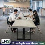 L.N.S.ACCOUNTING AND CONSULTING CO., LTD.