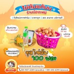 ชุดไข่ต้มแก้บน 100ฟอง ราคาขายส่ง - ไข่ต้มแก้บนวัดหลวงพ่อโสธร - น้องเฟย์ไข่ต้ม ราคาถูก