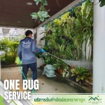 บริการรับกำจัดปลวกราคาถูก นนทบุรี
