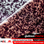 สีฝุ่น Powder Coat ราคา - โรงงานผลิตสีผง สีฝุ่น พาวเดอร์โค้ท โลหะทุกชนิด