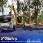 รถแบคโฮให้เช่า รายวัน - แมคโครให้เช่าพร้อมคนขับ - ช้างแมคโครให้เช่า