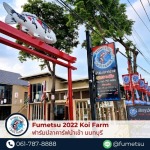 ฟาร์มปลาคาร์ฟนำเข้าญี่ปุ่น - ฟาร์มปลาคาร์ฟนำเข้าจากญี่ปุ่นแท้ 100% - Fumetsu Koi Farm