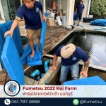 รับล้างบ่อปลาคาร์ฟ - ฟาร์มปลาคาร์ฟนำเข้าจากญี่ปุ่นแท้ 100% - Fumetsu Koi Farm