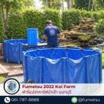 Fumetsu Koi Farm 2022