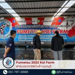 Fumetsu Koi Farm 2022
