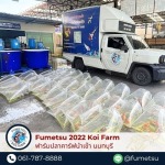 รับขนย้ายปลาคาร์ฟ - ฟาร์มปลาคาร์ฟนำเข้าจากญี่ปุ่นแท้ 100% - Fumetsu Koi Farm