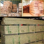 กระเบื้องพื้น กระเบื้องผนัง - ร้านวัสดุก่อสร้าง คูคต ลำลูกกา - บ๊วยเฮง ค้าไม้