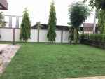 รับออกแบบจัดสวน อยุธยา - ไร่หญ้า จ๋า หรือ มนู
