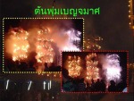 ต้นพุ่มเบญจมาศ - Chaiyaporn Fire Work Team