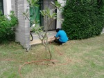 กำจัดปลวกตรงจุด ไม่เสียเวลา - Hans Pest Control Service Co Ltd