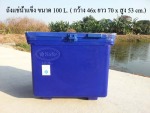 ถังน้ำแข็ง ถังแช่น้ำแข็ง ขนาด 40 ลิตร - ถังแช่น้ำแข็ง - จิตต์ไฟเบอร์ เทค