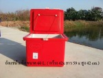 ถังน้ำแข็ง ถังแช่น้ำแข็ง ขนาด 100 ลิตร - Safe Icebucket Jitfiberglass