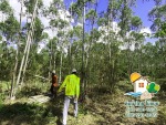 เหล็กก่อสร้างราคาส่ง - Construction Material shop - Tonnamthai Udon Thani